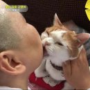 상귀농장 이미지