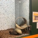 하이애니멀샵 이미지