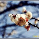 양산농장 이미지