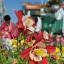 길상의원 이미지