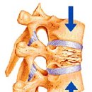 경희차이한의원 이미지