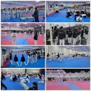 한국체대 박사 태권도체육관 | 태권도학과 졸업 후 진로 - 태권도진로/태권도직업