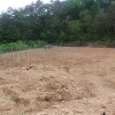 완성농장 이미지