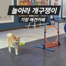개구쟁이 - 동작구 매봉로 169 | [부산] 기장 애견카페 - 놀아라 개구쟁이 후기