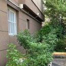 돈앤돈본가생고기