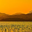 주남저수지 이미지