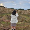 제주도 여행 3박 4일 코스 추천｜제주도 알못도 그대로 따라가는 일정 (현지인 픽 명소 포함)