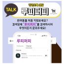 고려애견샵 이미지