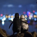 롯데리아일산마두점 이미지