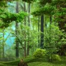 저지한의원 이미지