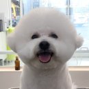 루앤오 이미지