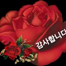 투고하고갑니다 이미지
