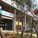 소나무도서관 이미지