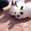 한우촌가든 이미지