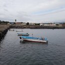 제주공천포전지훈련센터 야구장 이미지