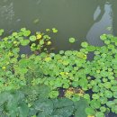 달그림자공원 이미지