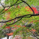 직전마을 이미지