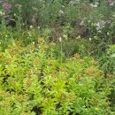 관곡지약국 이미지