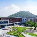 장수양돈 이미지