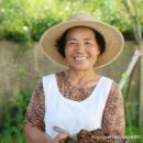 문덕장류마을 이미지