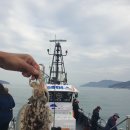 남해쭈꾸미 이미지