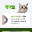 백현 동물병원 이미지