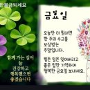 &#34;&#39;관악산둘레길&#39;(1코스) 일부 산책&#34;＜2024.08.09(금)＞ 이미지