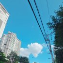 어제는 불운의 연속 이미지