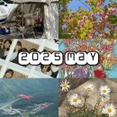 소림농장 | [2025] 청록의 계절