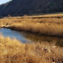 사창리터미널 이미지