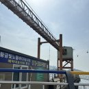 황금빛노을바다 낚시터 | 사천 선상펜션 ‘황금빛 노을 바다 낚시터’ 솔직 후기