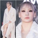 채린 이미지