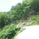 용인 외대 임도 이미지