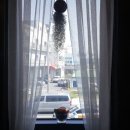 카페 일루아 이미지