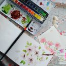황금연휴, 무작정 구례포 선착순 캠핑장으로 급여행 (몽산포오토캠핑장 아님, 태안 조개체험은 덤)