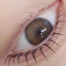 살롱도헤 이미지