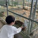 산너머그집 이미지