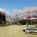 완도LOWA 이미지