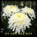 화수로 14번길 이미지