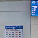 한적한 家 | 대전역-부산역 SRTㅣ가격 시간 내부 좌석 후기