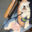 마레동물병원 이미지