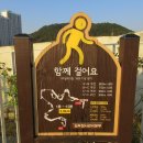 정부세종청사 옥상 정원길 이미지