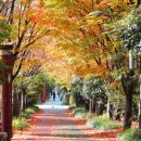 남구 보건소 이미지