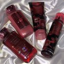 Bodyworks(바디웍스) | [향수추천/시향기] 배스 앤 바디웍스(Bath &amp; Body Works) 홀리데이 트래디션 사용 후기