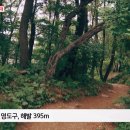 영도구-6 이미지