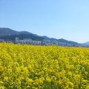 대저 토마토 축제와 유체꽃 이미지