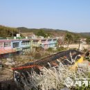 이방초등학교 이미지