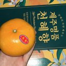 태정헬스 이미지