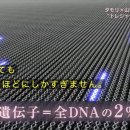 2024-03-0012