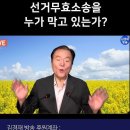 선거무효소송 누가 막는가? 김경재TV 이미지